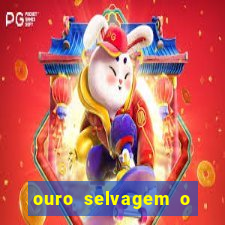 ouro selvagem o que aconteceu na vida